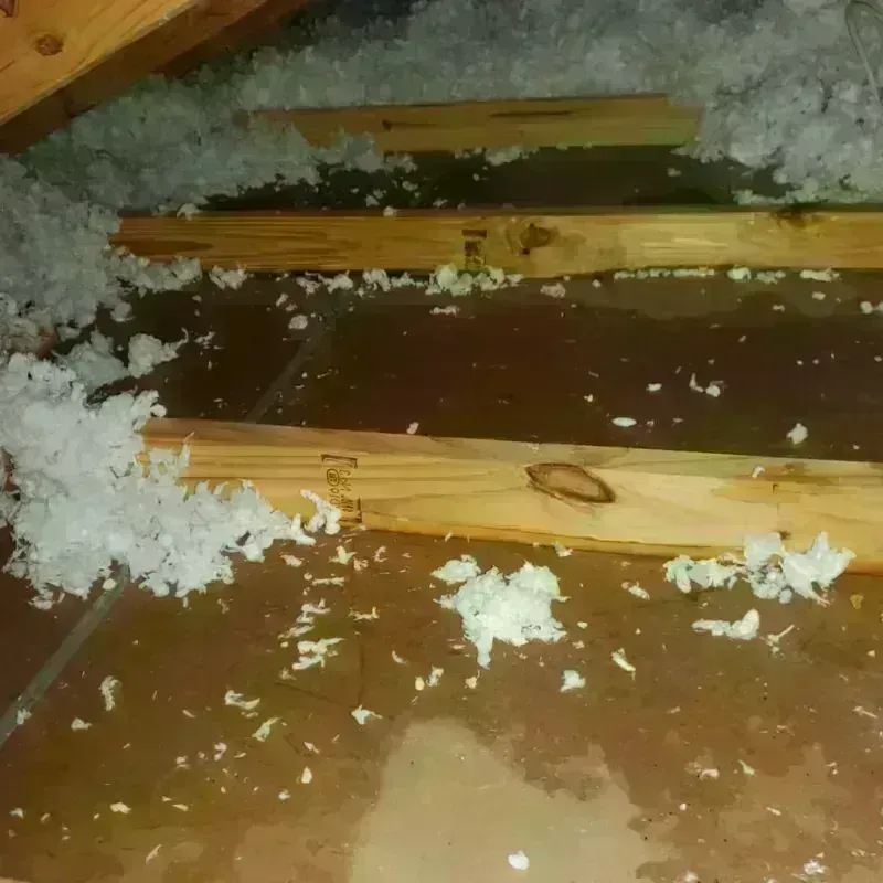 Attic Water Damage in North Andover, MA